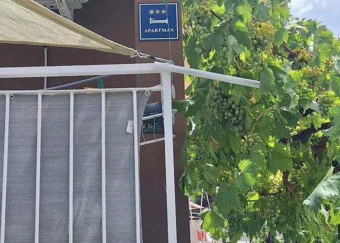 Maria Gloria Appartamento